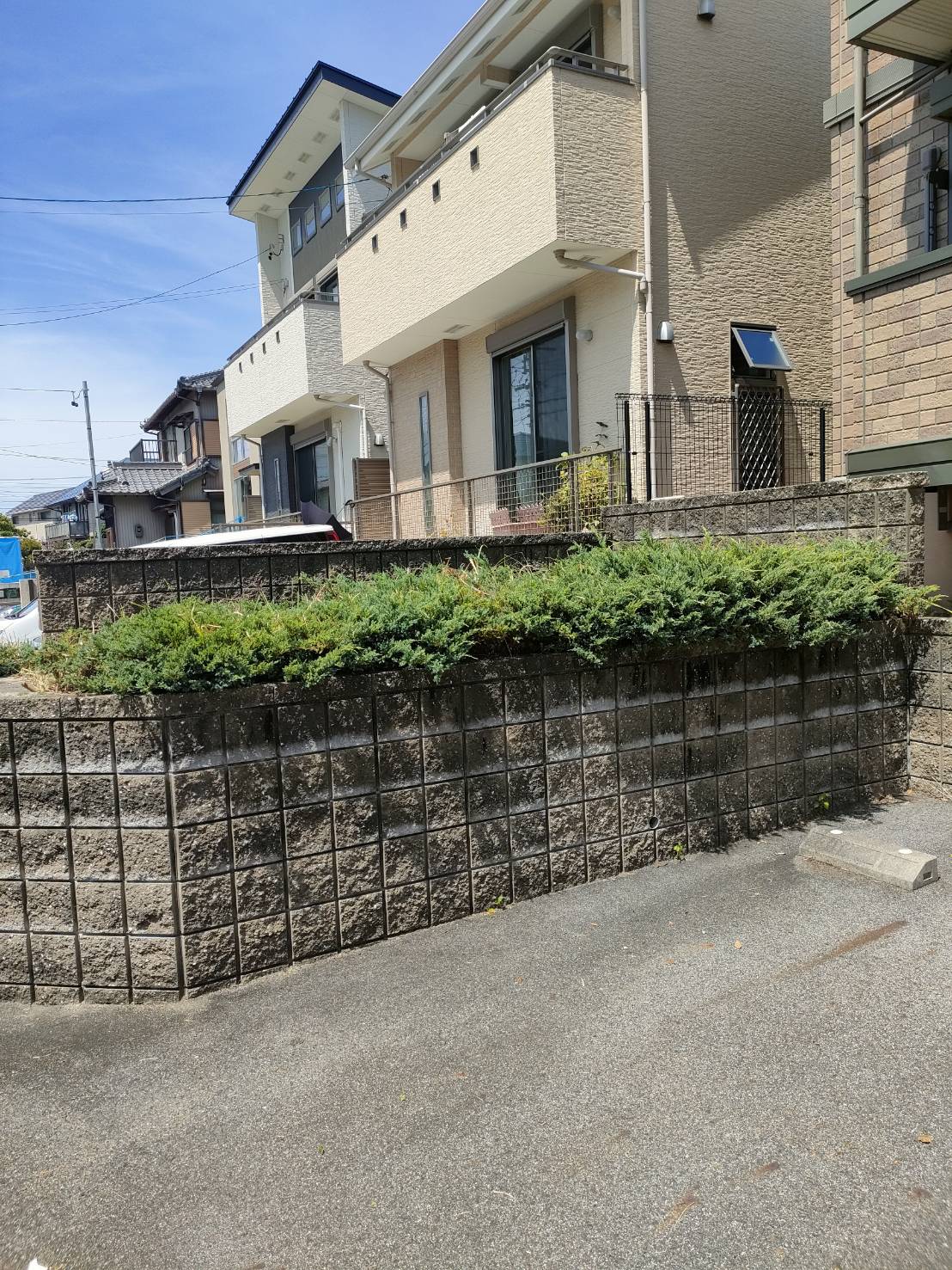 植栽の剪定・除草作業を行いました。